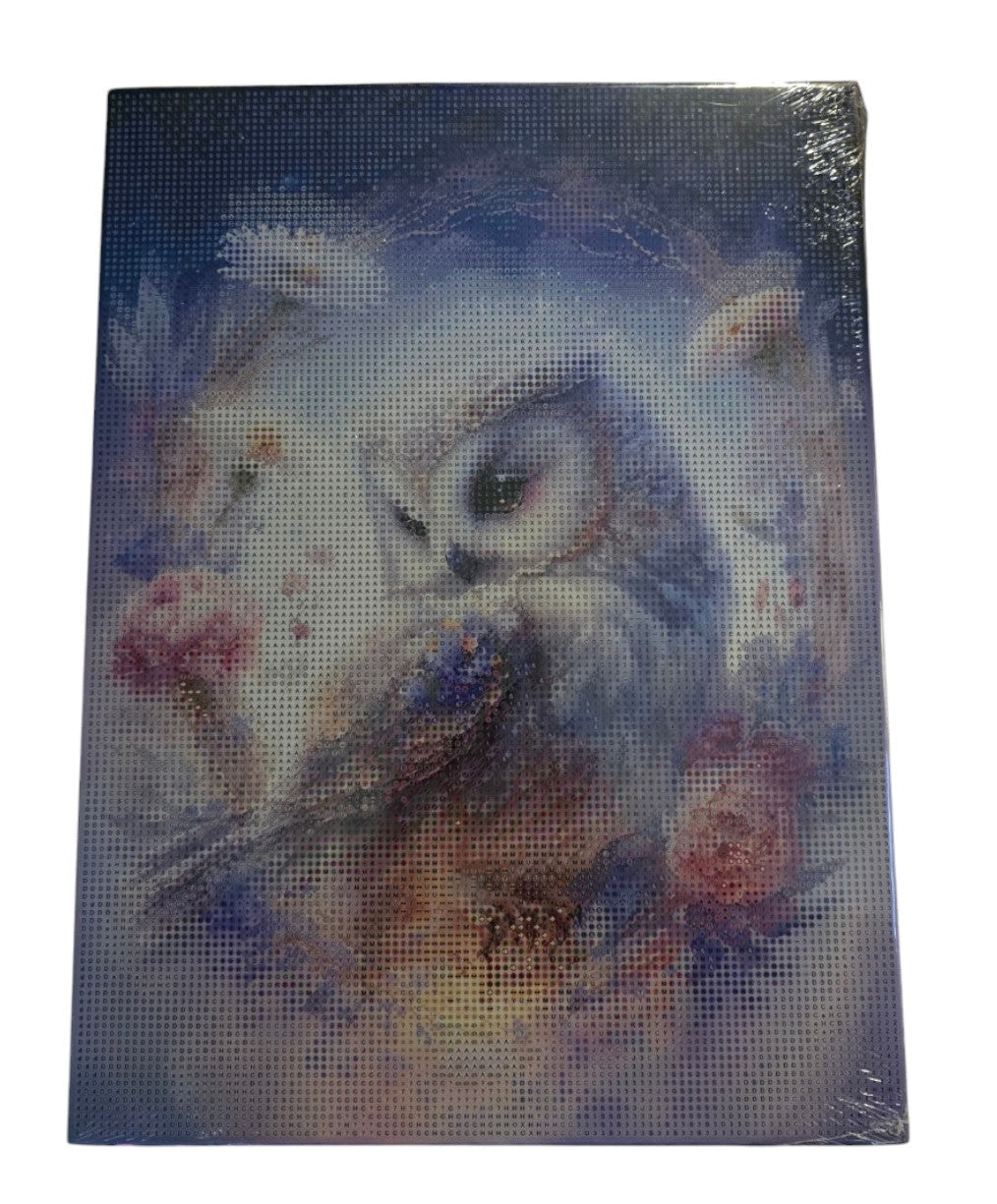 5D Diamond Painting Stickerei Bilder Set MAGIC EULE Malen nach Zahlen 30x40 cm