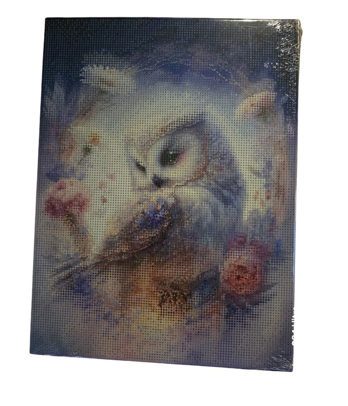 5D Diamond Painting Stickerei Bilder Set MAGIC EULE Malen nach Zahlen 30x40 cm